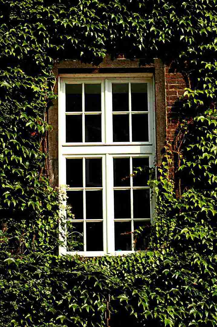 Sliding Sash Windows